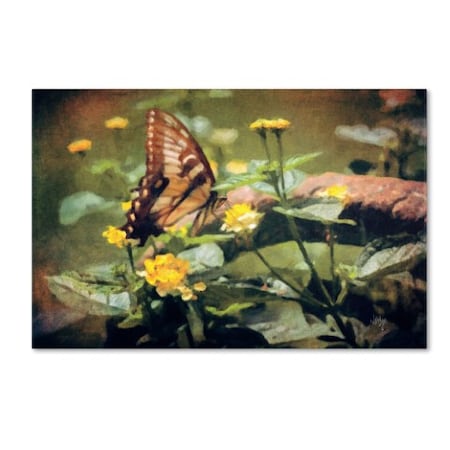 Lois Bryan 'Hidden Treasure In The Sun' Canvas Art,30x47